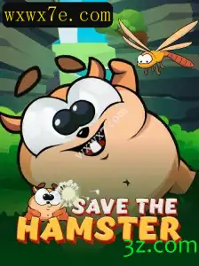 Descubra SavetheHamster: Um Jogo Apaixonante com Regras Simples